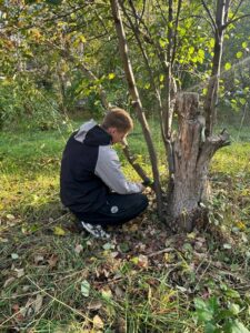 Учебная практика: студенты благоустроили территорию колледжа