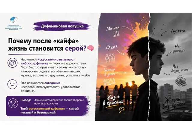Обложка: Почему после «кайфа» жизнь становится серой?